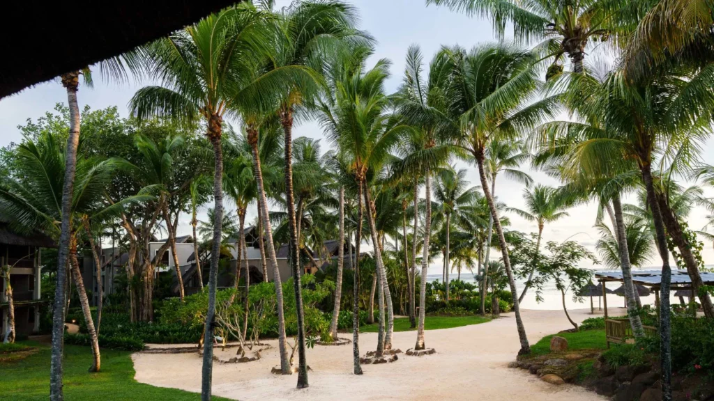 deluxe-beachview-exterior.jpg