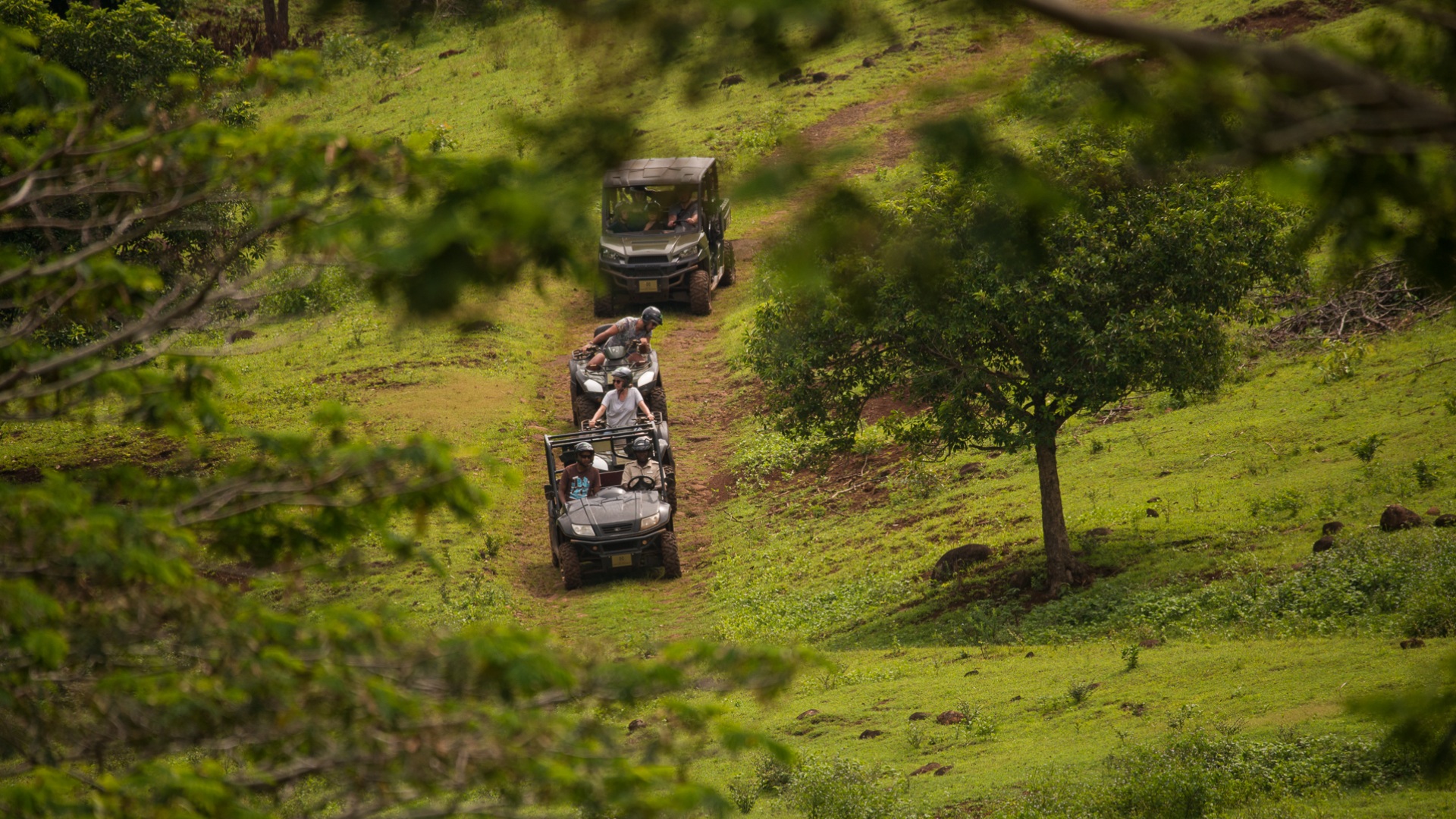 the-land-of-all-possibilities-media-separator